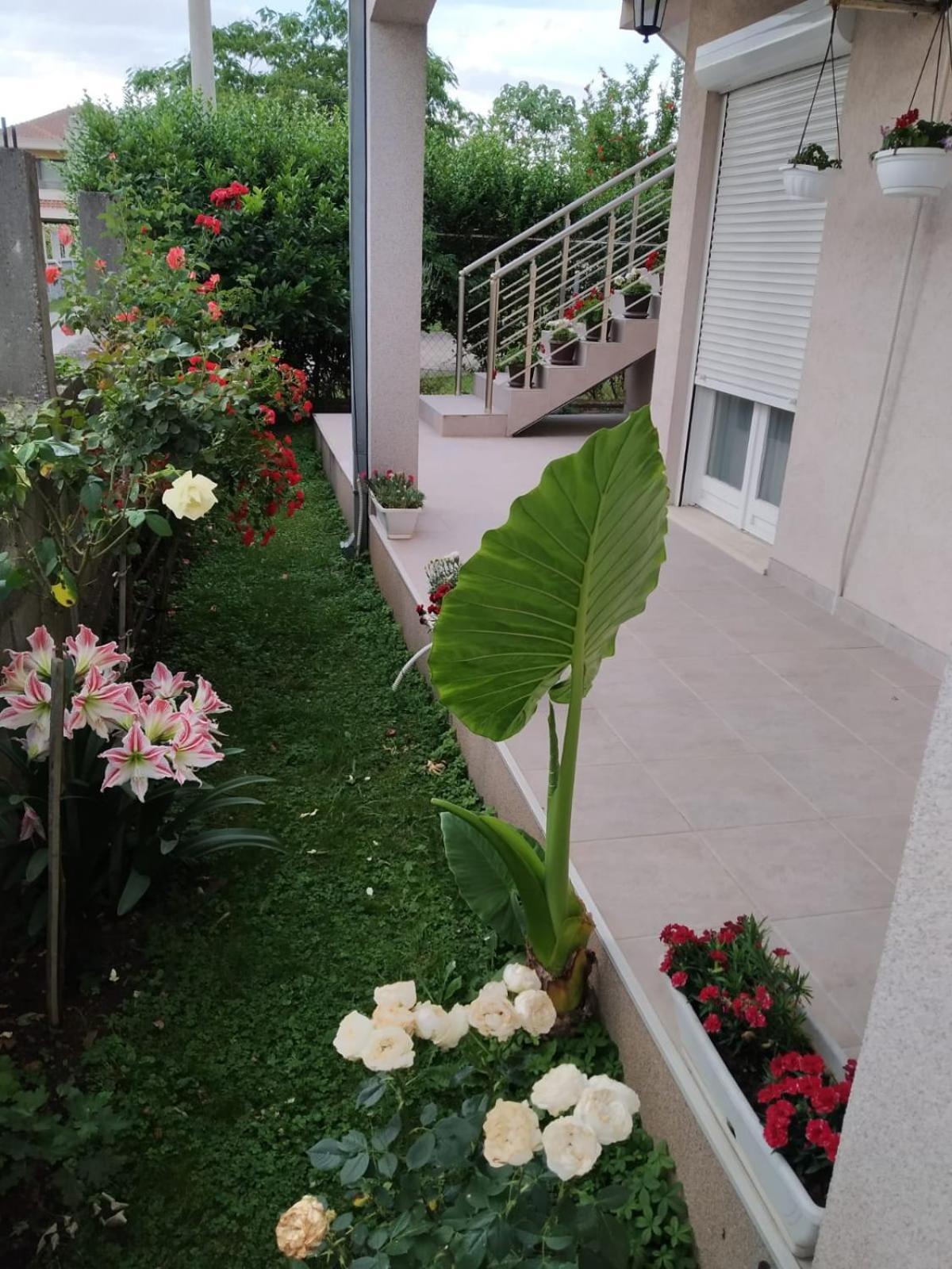 Entire House Floor - 2-Bedroom Cozy & Peaceful Apartment Podgorica Exteriör bild