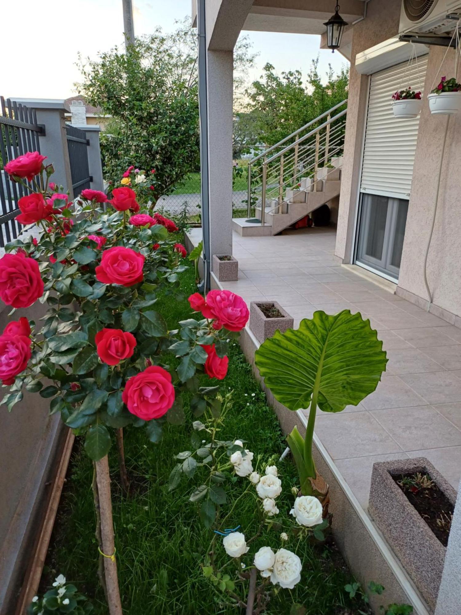 Entire House Floor - 2-Bedroom Cozy & Peaceful Apartment Podgorica Exteriör bild